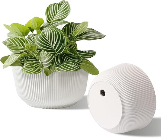 T4U 10 Inch Self Watering Pots for Indoor Plants, 2 Pack Large Plant Pots, Self Watering Planter for Indoor Plants, Durable Plastic Pots (2 Pack,10", White)