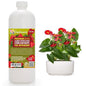 Gardenera Premium Liquid ANTHURIUM Fertilizer - 3-1-2 Concentrate for Indoor Plants and Flowers - Organic Plant Food - 32oz