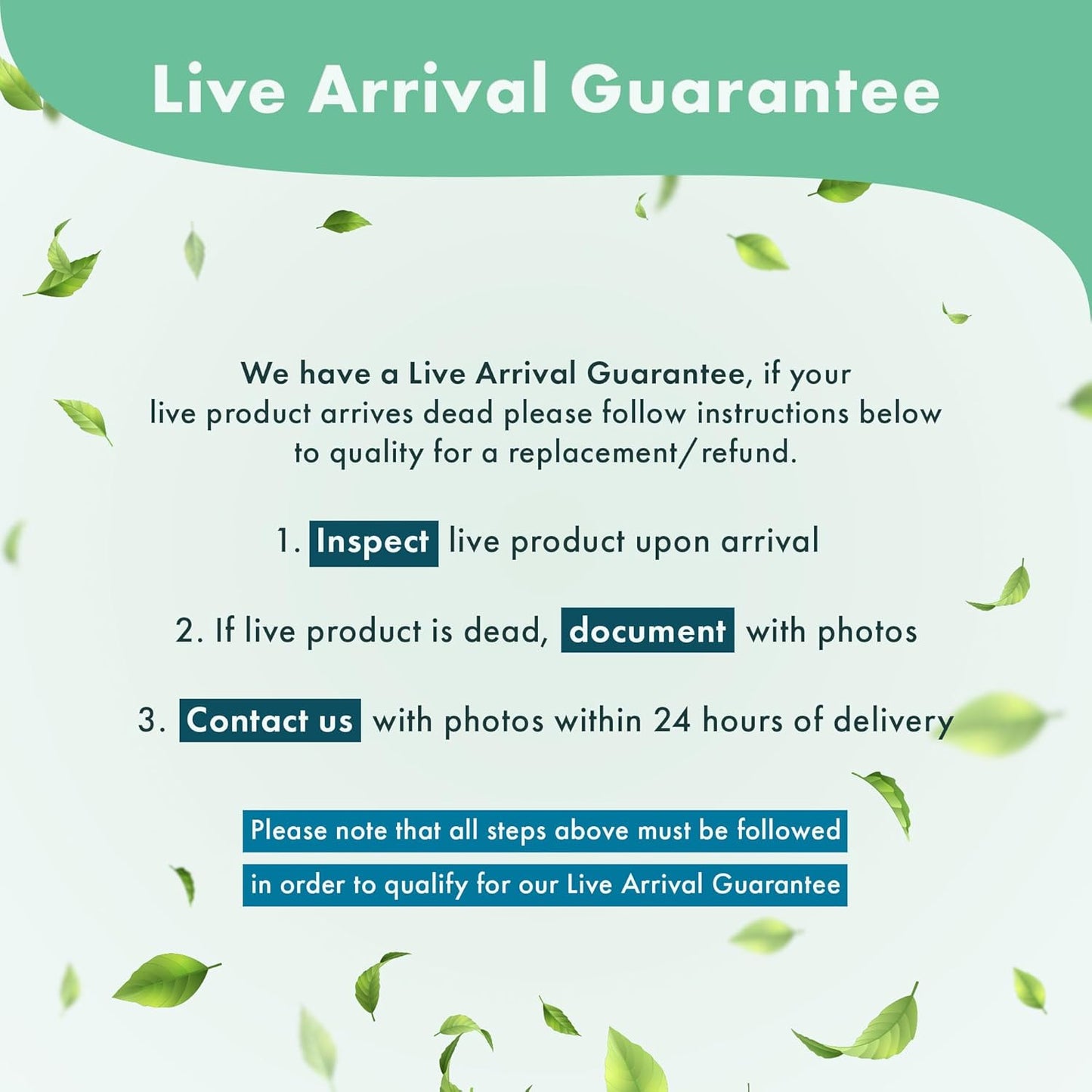 Live Aquarium Stem Plants - Freshwater Aquatic Plant for Fish Tanks, Aquascaping - (Limnophila Belem, 4 Bunches)