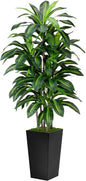 Artificial Dracaena Tree 5FT - Fake Tree with Black Tall Planter - Faux Yucca Tall Fake Floor Plant in Pot - Artificial Plant for Home Office Living Room Decor Indoor