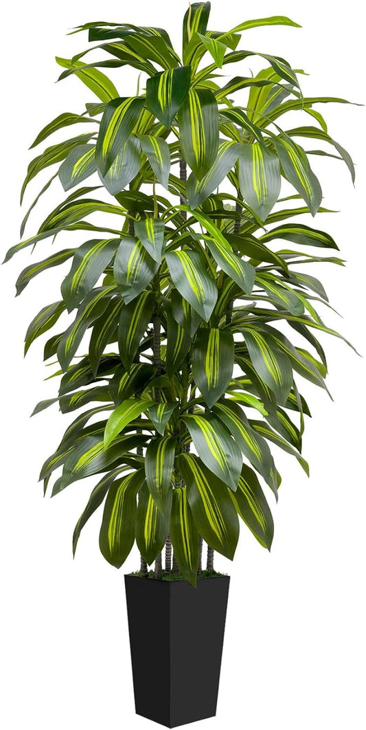 6FT Artificial Dracaena Tree Indoor Fake Tree Tall Plant with Black Planter Faux Plants Indoor Living Room Artificial Plants Indoor Decor Large Fake Plant