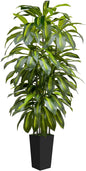6FT Artificial Dracaena Tree Indoor Fake Tree Tall Plant with Black Planter Faux Plants Indoor Living Room Artificial Plants Indoor Decor Large Fake Plant