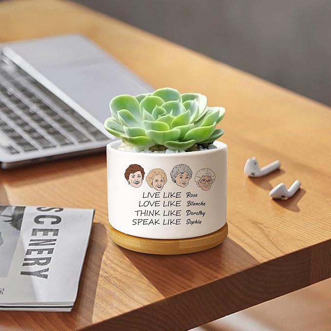 Friend Gifts for Women, Funny Succulent Planter, Flower Cactus Plant Pot, Golden Gilrs Merchandise, Friendship Gifts for Best Friends Bestie Sister Birthday Present (Plant Not Included)