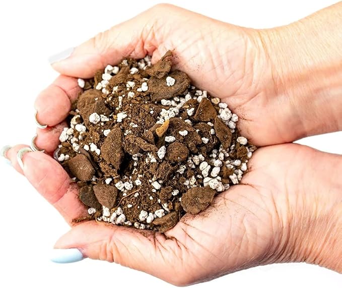 GARDENERA Premium Aloe Vera Potting Soil Mix - (3 Quart Bag)