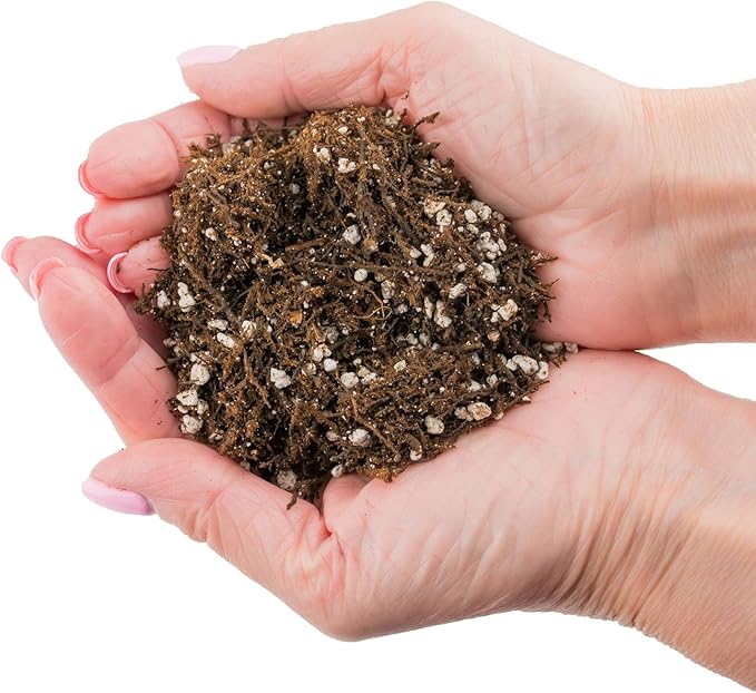 Gardenera Fern + Perlite Soil Mix for Repotting and Planting Succulents and Cactuses - 2 Quart Bag
