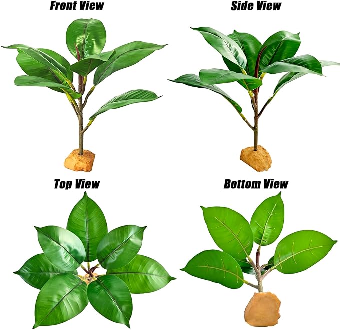 Woyrise Reptile Plants for Terrarium, 9" Fake Rubber Tree Ball Python Tank Accessories Habitat Decor fit Crested Gecko Leopard Bearded Dragon Lizard Chameleon Snake - Ficus Elastica Robusta