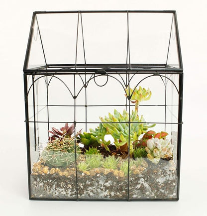 ELEGANTLIFE Glass Geometric Plant Terrarium,Succulent & Air Planter for Home Garden Office Decoration (Black House)