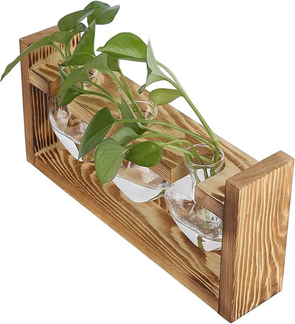 Plant Terrarium with Wooden Stand,Heart Shaped Transparent Glass Vase Flower Pot Hydroponics Plant Propagation Station for Hydroponics Plants Home Office Decor (Retro Box + 3