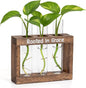 Rooted in Grace Propagation Station – Wooden Plant Holder with 3 Glass Vases, Indoor Rooting Station for Cuttings, Christian-Inspired Gift for Women, Birthday, Housewarming, Plant Lover Décor