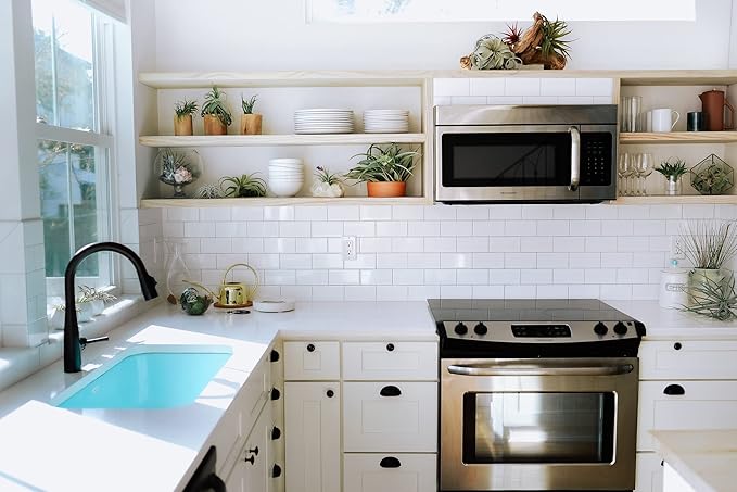 Stunning Flat Bottom 3 Globe Plant Terrarium Kits - 5 Small Assorted Air Plants, Beige Stones and Moss in Propagation Jar - Home and Garden Décor Plant Pot - Easy Care Indoor and Outdoor Plant Vase