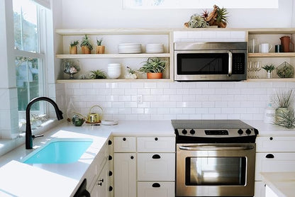 Stunning Flat Bottom 3 Globe Plant Terrarium Kits - 5 Small Assorted Air Plants, Beige Stones and Moss in Propagation Jar - Home and Garden Décor Plant Pot - Easy Care Indoor and Outdoor Plant Vase