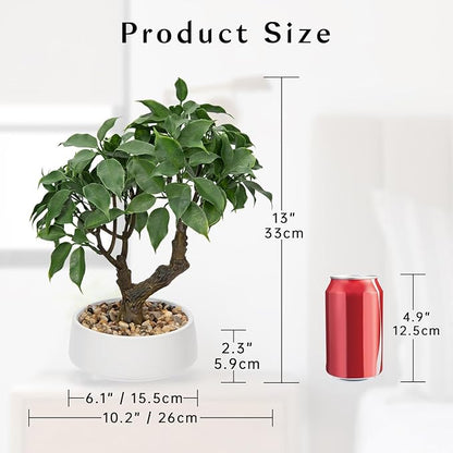 Artificial Bonsai Tree, Small Ficus Bonsai Tree 13" Indoor Bonsai Tree Fake Potted Plant Decorative Fake Desk Plant Decor with Ceramic Pot for Home Office Living Room Bedroom Bathroom Table Shelf