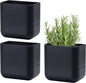 Phoenix Vine 6.5-Inch Wall Mounted Self-Watering Planter Pot for Indoor Houseplants and Herbs | Modern Hanging Planter for Window Sills, Bathroom Walls, Home & Office Décor, Black, Set of 3, 01-WP-B-3