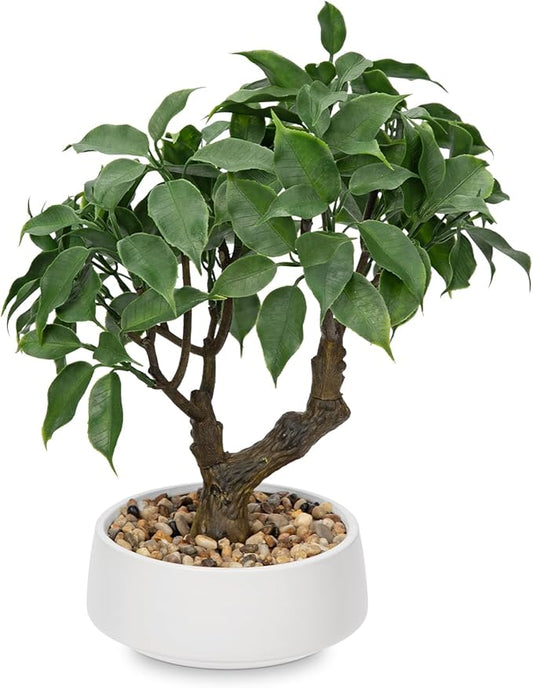 Artificial Bonsai Tree, Small Ficus Bonsai Tree 13" Indoor Bonsai Tree Fake Potted Plant Decorative Fake Desk Plant Decor with Ceramic Pot for Home Office Living Room Bedroom Bathroom Table Shelf