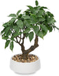 Artificial Bonsai Tree, Small Ficus Bonsai Tree 13" Indoor Bonsai Tree Fake Potted Plant Decorative Fake Desk Plant Decor with Ceramic Pot for Home Office Living Room Bedroom Bathroom Table Shelf
