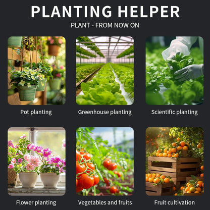 6-in-1 Soil Moisture Meter Digital PH Meter/Soil Moisture/Plant Temperature/Sunlight Intensity, Backlight LCD Display, Soil Test Meter for Garden, Lawn, Plant Care (Blue)