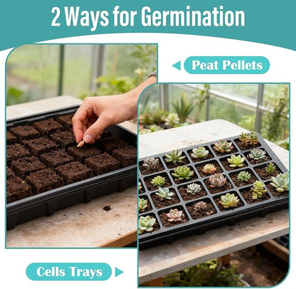 10-Pack XL Seed Starter Tray with Dome – 24 Large 2" Cells per Seedling Starter Trays (Total 240 Cells), Seed Growing Tray with Humidity Lids for Greenhouse Home Plant Propagation