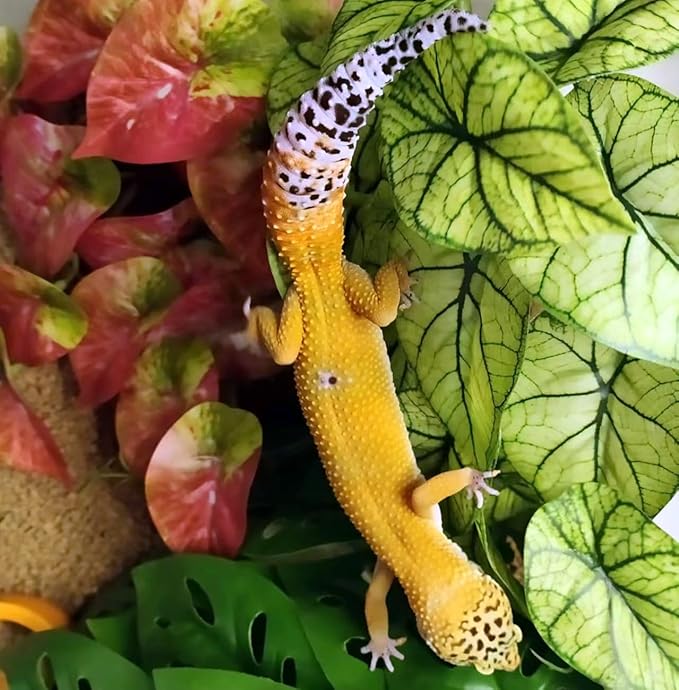 Reptile Plants for Terrarium Decor, Amphibian Habitat Decor, Reptile Tank Accessories, Artificial Hanging Plants with Suction Cup-2 Packs (Green Arrowhead)