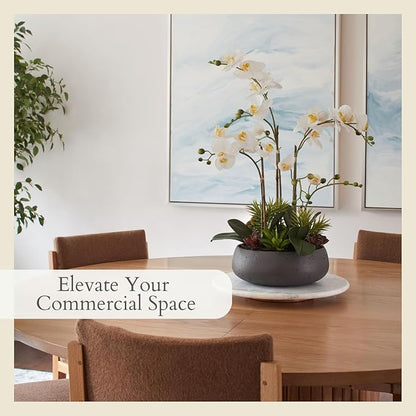 CG Hunter Faux Orchid Plant w/Succulents, Premium Artificial Indoor Flower Display Stands 23” w/Beautiful Sculptural Blooms and Succulents That Lasts Forever, Grey Planter Pot Included