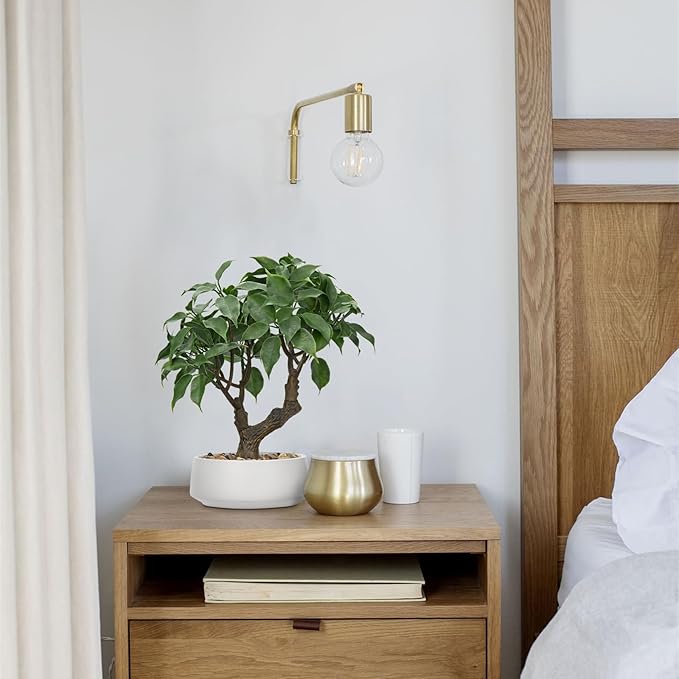 Artificial Bonsai Tree, Small Ficus Bonsai Tree 13" Indoor Bonsai Tree Fake Potted Plant Decorative Fake Desk Plant Decor with Ceramic Pot for Home Office Living Room Bedroom Bathroom Table Shelf