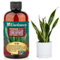 Premium Liquid Snake Plant Fertilizer - 3-1-2 Concentrate for Indoor Plants and Flowers by Gardenera | Organic Plant Food for Snake Plants - 8oz