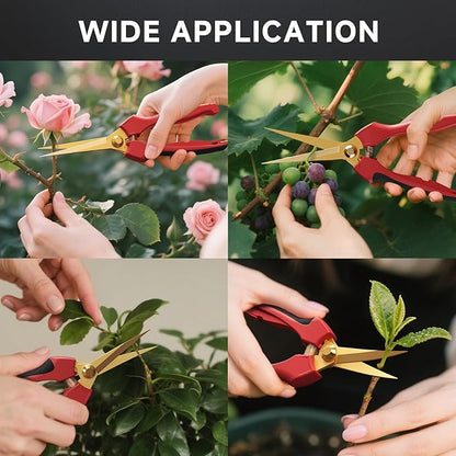 FLORA GUARD Garden shears – 8.2" Straight Tip & 7.2" Curved Blade pruning shears for gardening, Great Christmas Gifts, ideal for Precise Trimming of Flowers, Plants, and Garden Maintenance (2 Pack)