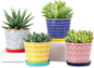 Selamica Ceramic Succulent Pots, 4.3 Inch Small Plant Pots with Drainage Holes and Saucers, Small Flower Pots for Succulent, Cactus, Home Decor, Set of 4, Assorted Colors