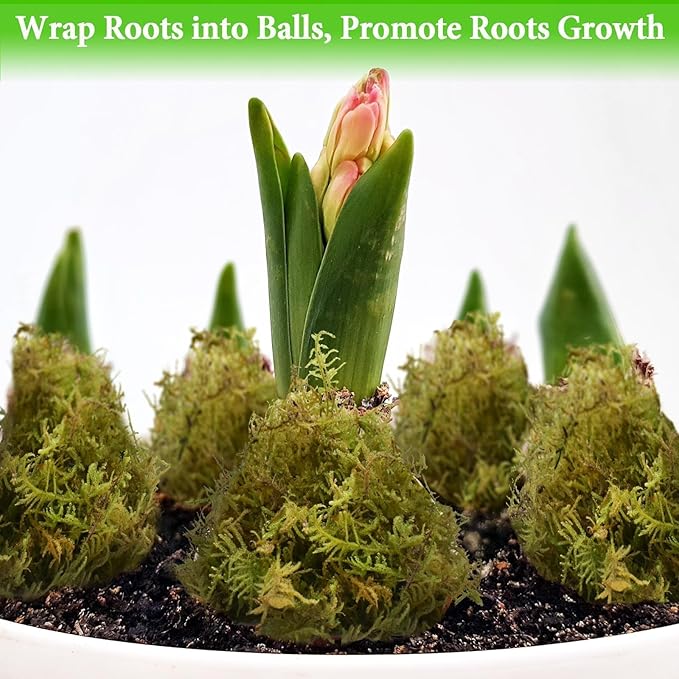 Halatool 2.2LB Premium Sphagnum Moss for Plants, 50QT Green Moss for Plants Indoor Potted Orchid Moss for Repotting Succulent Carnivorous Terrarium Gardening Reptiles