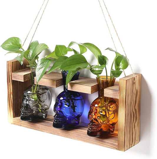 Plant Terrarium Propagation Stations Hydroponics Halloween Skull Planter Vase Skulls Decor with Wooden Stand Gift for Father