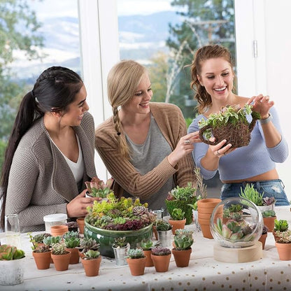 Mountain Crest Gardens Ultimate Succulent Variety Pack - 25 Unique Live Plants, Many Types, Rooted in 2 inch Pots - Indoor/Outdoor Real Succulents for Garden Decor, Favors, DIY Arrangements