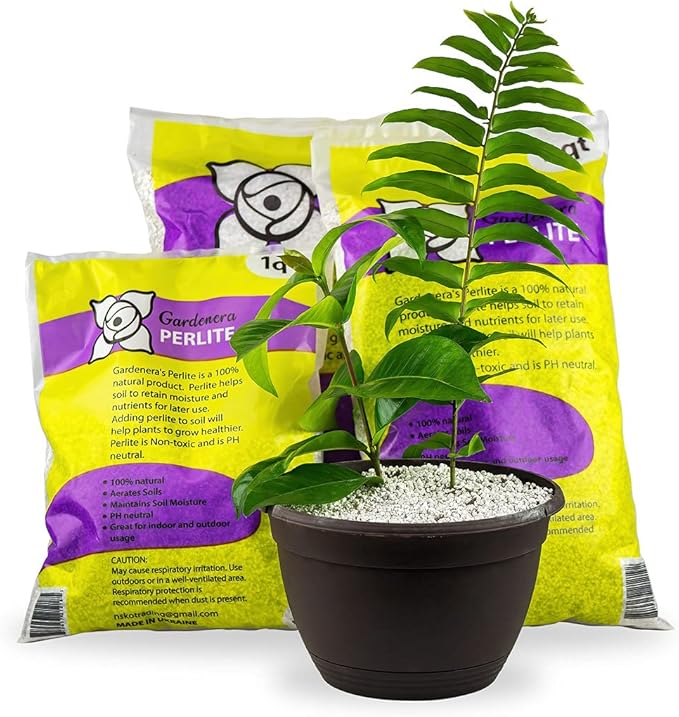 Gardenera Organic Perlite - Medium/Fine Grade (1 Quart Bag) Horticultural Soil Amendment for Indoor & Outdoor Container Plants for Drainage Management and Enhanced Growth