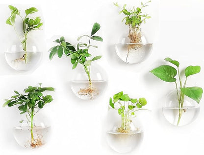 Wall Propagation Planters 6 Pack Glass Wall Planters for Indoor Plants, Wall Plant Holder Plant Propagation Wall Hanging, Glass Flower Vase Indoor Hydroponic Decor