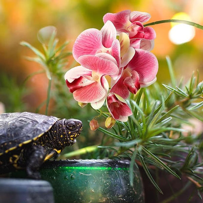 Chuangdi 2 Pieces Artificial Phalaenopsis with Suction Cups Terrarium Plant Decoration Reptile Habitat Plant Decor for Hermit Crab Lizards Geckos Snake Reptile (Dark Pink, White Yellow)