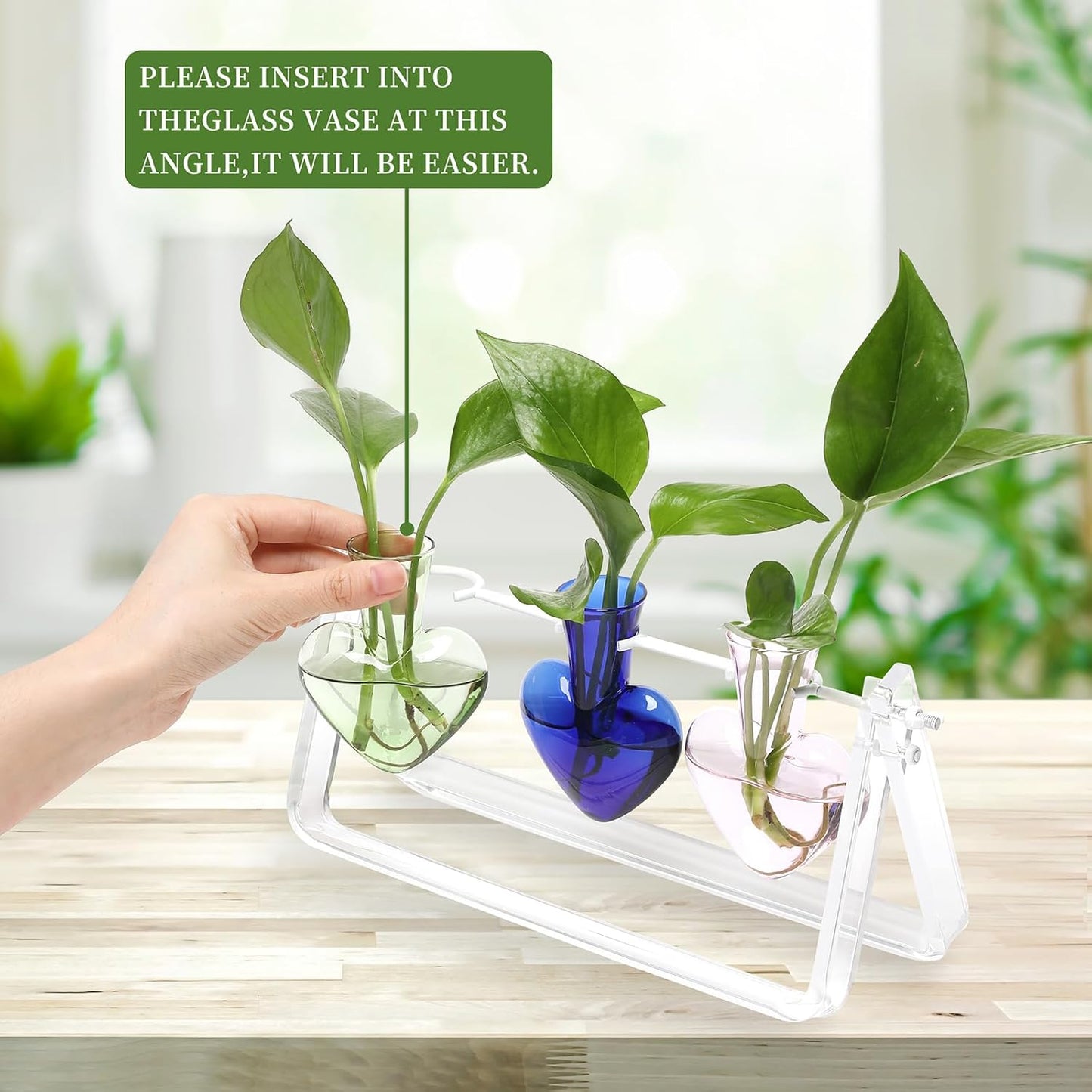 Clear Plant Terrarium Propagation Stations with Acrylic Stand Birthday Gifts for Women Office Home Decor