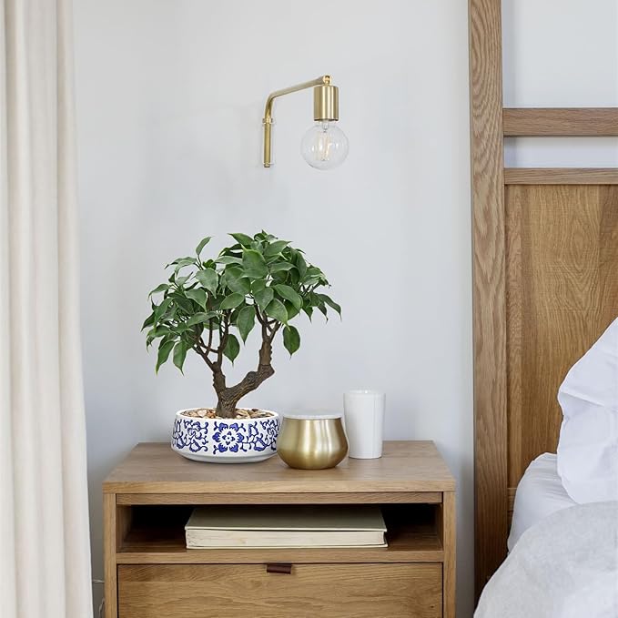 Artificial Bonsai Tree, Small Ficus Bonsai Trees 13" Indoor Bonsais Tree Fake Potted Plant Decorative Fake Desk Plant Decor with Ceramic Pot for Home Office Living Room Bedroom Bathroom Table Shelf