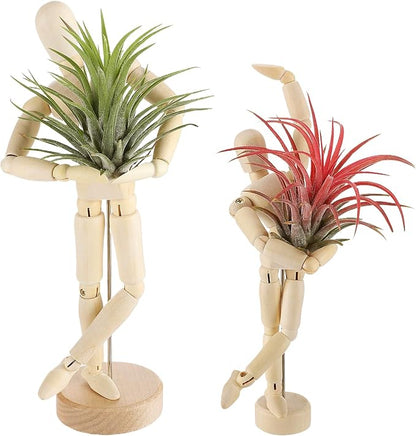 ANPHSIN 2 Sizes Wooden Air Plant Holder - Unique Jointed Mannequin Airplant Stand with Adjustable Poses, Tillandsia Display Container for Gifts Home Office Decoration, 2 pcs