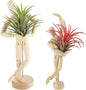 ANPHSIN 2 Sizes Wooden Air Plant Holder - Unique Jointed Mannequin Airplant Stand with Adjustable Poses, Tillandsia Display Container for Gifts Home Office Decoration, 2 pcs