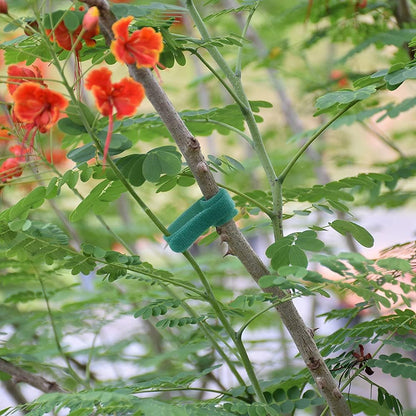 Garden Hook＆Loop Plant Cable Ties, Multi-functional Ties, Adjustable Garden Nylon Ties for Supporting Plant and Vines(50 Pcs, 8 Inch, Green)