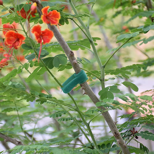 Garden Hook＆Loop Plant Cable Ties, Multi-functional Ties, Adjustable Garden Nylon Ties for Supporting Plant and Vines(50 Pcs, 8 Inch, Green)