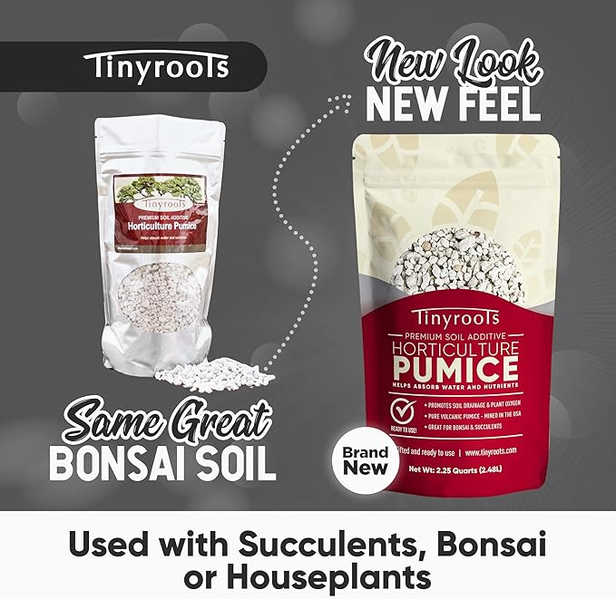 Bonsai Outlet Horticultural Pumice for Plants - Tinyroots 2.25 Quarts Soil Aggregate for Succulents, Cactus and Bonsai Plants