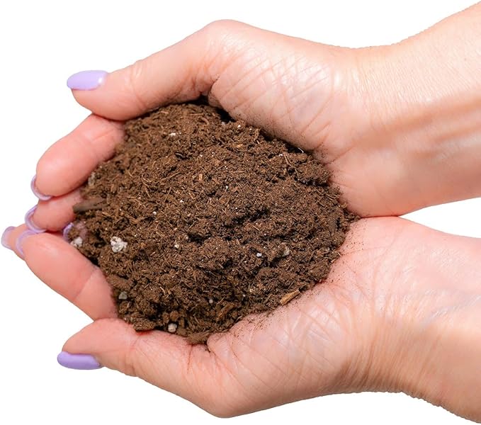 GARDENERA Money Tree Potting Soil Mix for Planting or Repotting Guiana Chestnut, Soil Blended to Properly Grow Money Tree Plants - (1 Quart Bag)