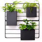 KASSELL Vertical Garden Wall Planter. Wall Mounted for Indoor Outdoor. All Metal Black Vertical Planter with No Assembly Required. Planter for Indoor Plants Flowers, Herbs, Succulents and Plants