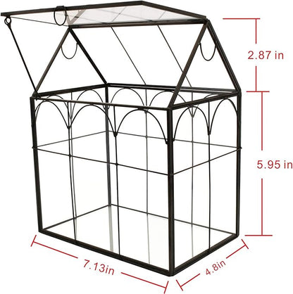 ELEGANTLIFE Glass Geometric Plant Terrarium,Succulent & Air Planter for Home Garden Office Decoration (Black House)