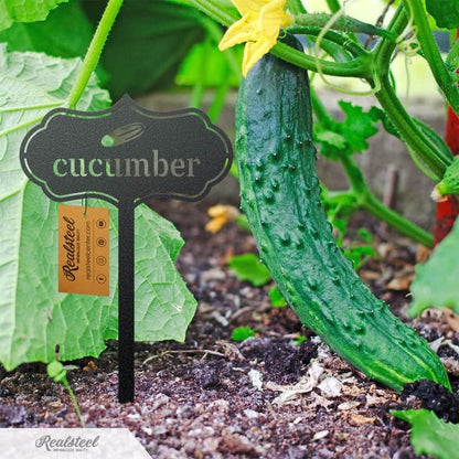 RealSteel - Seed & Plant Markers - Indoor/Outdoor Herb Garden Stakes - Elegant Fruit/Vegetable Seed Labels - Durable Plant Tags for Pots - Classy Design for Farmhouse/Greenhouse (Spinach)