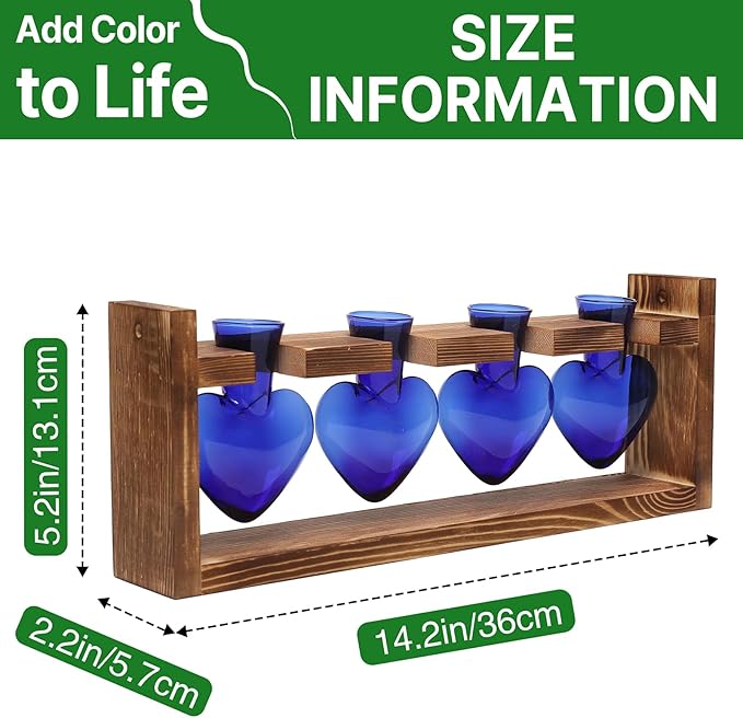 Heart Plant Terrarium Kit Gift for Women Plant Lover Glass Vases