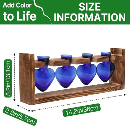 Heart Plant Terrarium Kit Gift for Women Plant Lover Glass Vases