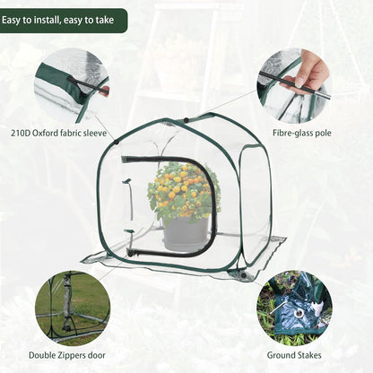 Mini Transparent Pop Up Greenhouse for Indoor and Outdoor Backyard Gardens - Portable Large Space and Durable