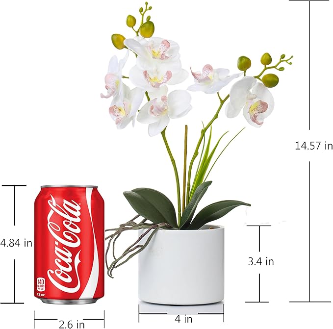 Jusdreen Artificial White Orchid in Ceramic Pot, Realistic Phalaenopsis Arrangement with Potting for Home Office Table Decor, 14.5 Inch Flower Centerpiece