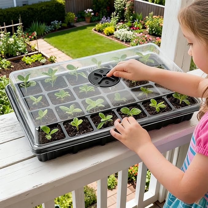 10-Pack XL Seed Starter Tray with Dome – 24 Large 2" Cells per Seedling Starter Trays (Total 240 Cells), Seed Growing Tray with Humidity Lids for Greenhouse Home Plant Propagation