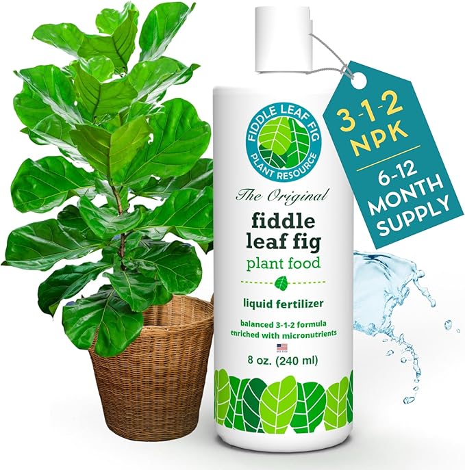 Fiddle Leaf Fig Plant Food – 3‑1‑2 Balanced NPK Liquid Fertilizer for Larger Leaves, Stronger Roots & Steady, Vibrant Growth | Suitable for All Ficus Including Ficus Lyrata | Made in USA | 8 oz
